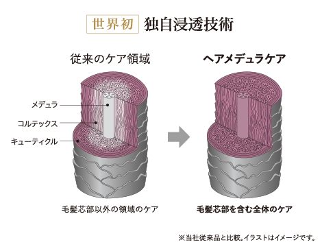 ヘアメデュラケア独自浸透技術イメージ