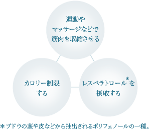 （例）長寿遺伝子スイッチONのための3つの方法