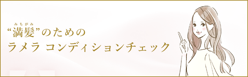 ラメラコンディションチェック