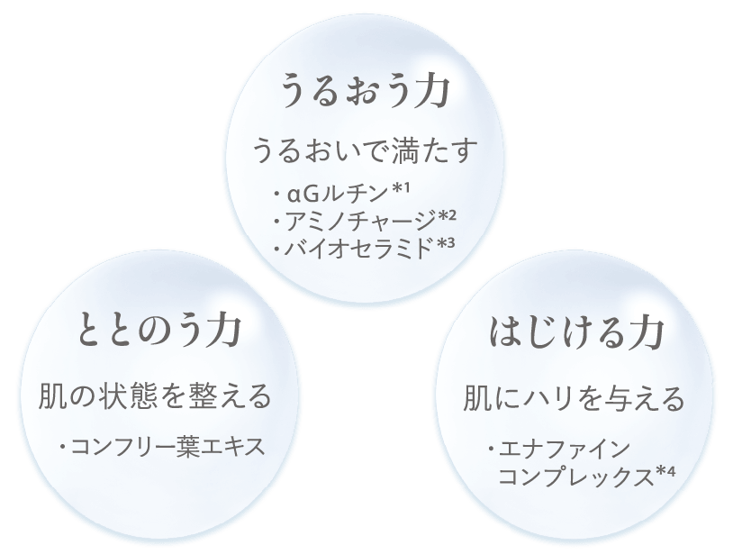 うるおいで満たす・肌の状態を整える・肌にハリを与える