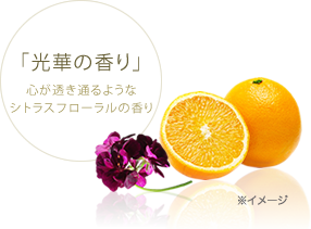光華の香り