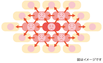 肌が老化するとは？