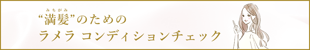 ラメラコンディションチェック